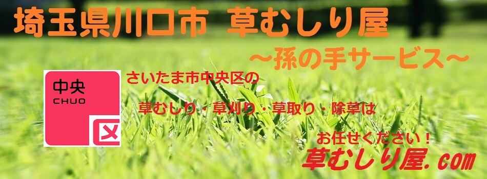 ̎T[rX